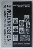 EPONIME SI SINONIME IN NEUROANATOMIE de ANDY R.M. CHIRCULESCU si PETRU L. MATUSZ , 1999 , DEDICATIE *