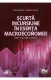 Scurta incursiune in esenta macroeconomiei - Oana Simona Caraman-Hudea