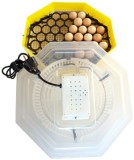 Incubator electric cu dispozitiv de intoarcere oua CLEO 5D - 41 oua gaina