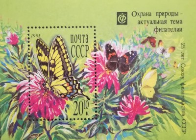 BC584, URSS 1981, colita flori, fluturi foto