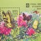 BC584, URSS 1981, colita flori, fluturi