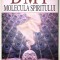 DMT: Molecula Spiritului, Strassman, Rick, stare buna. Spiritualitate, Chimie.