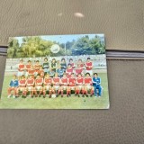 Carte postala echipa Dinamo Bucuresti