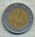 12174 MONEDA -EGYPT - 1 POUND - ANUL 2008 -STAREA CARE SE VEDE, America Centrala si de Sud