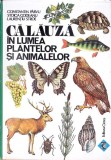 CALAUZA IN LUMEA PLANTELOR SI ANIMALELOR-C. PARVU, STOICA GODEANU, L. STROE-346204