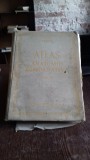 ATLAS DE ANATOMIE COMPARATIVA - VASILE GHETIE VOL.2