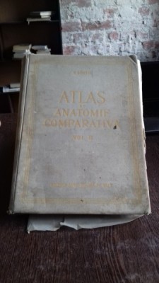 ATLAS DE ANATOMIE COMPARATIVA - VASILE GHETIE VOL.2 foto