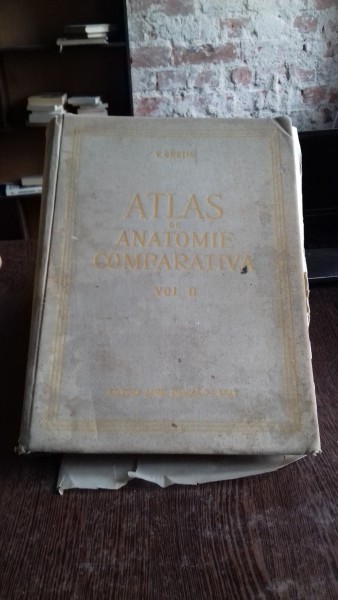 ATLAS DE ANATOMIE COMPARATIVA - VASILE GHETIE VOL.2