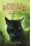 Pisicile razboinice. Sub semnul stelelor. Cartea a XXIII-a: Razboinicul Uitat (volumul 23) - Erin Hunter