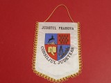 Fanion Consiliul Judetean Prahova