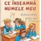 Ce Inseamna Numele Meu - Leon Magdan