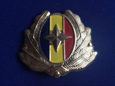 Insigna militara -Cuc/Emblema/Coifura-Serviciul Roman de Informa?ii-SRI (auriu) foto