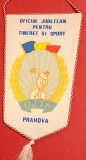 Fanion-Oficiul Judetean pentru Tineret si Sport - OJTS PRAHOVA