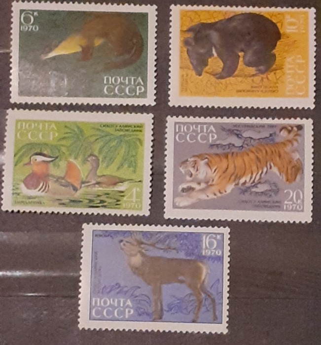 Rusia 1970 fauna serie 5v mnh Rusia 1970 fauna serie 5v mnh