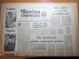 scanteia tineretului 22 octombrie 1964-orasul piatra neamt,jocurile olimpice