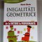 INEGALITATI GEOMETRICE- MARIN CHIRCIU