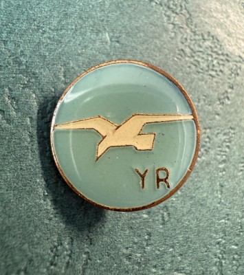 Insigna Aviatie Romania YR varianta email albastru deschis monetaria statului foto