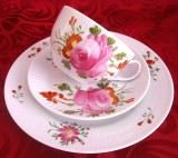 SET MIC DEJUN PORTELAN AUGUST WARNECKE DECOR MANUAL CU TRANDAFIRI SET CAFEA