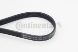 CONTINENTAL CTAM 6PK1780 Curea transmisie cu caneluri