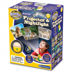 Proiector 2 in 1 - Animalute PlayLearn Toys foto