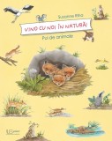 Vino cu noi in natura! Pui de animale - Susanne Riha, 4-6 ani, hardcover, Univers Enciclopedic Junior
