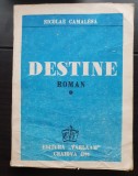 Destine - Nicolae Camalesa