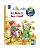 Ce facem toamna? - Hardcover - Andrea Erne - Casa