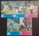 5 numere Revista APICULTURA &Icirc;N ROM&Acirc;NIA (ROM&Acirc;NIA APICOLĂ): aprilie (4) 1988 * septembrie (9) 1988 * februarie (2) 1990 * martie (3) 1990 * mai (5) 1990