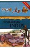 Colectia Istorie: Civilizatia Indus