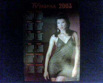 Monica Birladeanu - Poster [A3] foto