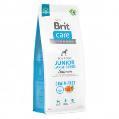 Brit Care Grain-Free Junior Large Breed, L-XL, Somon, hrană uscată fără cereale câini junior, piele & blană, 12kg