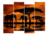 Cumpara ieftin Tablou multicanvas 4 piese Elefanti 2, 120 x 95 cm