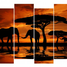 Tablou multicanvas 4 piese Elefanti 2, 120 x 95 cm