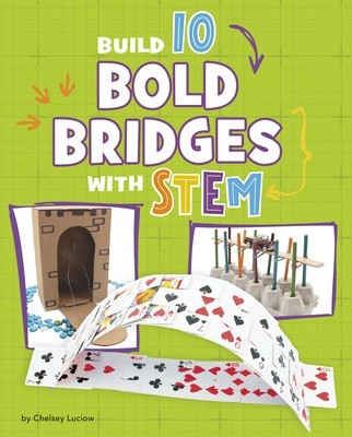 Build 10 Bold Bridges with Stem foto