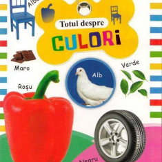 Totul despre culori - Paperback brosat - *** - Flamingo