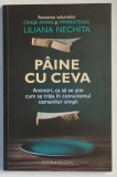 PAINE CU CEVA , AMINTIRI , CA SA SE STIE CUM SE TRAIA IN COMUNISMUL OAMENILOR SIMPLI de LILIANA NECHITA , 2022
