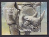 GUERNSEY 2018 FAUNA RINOCERI