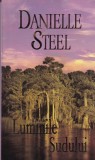 Danielle Steel - Luminile sudului