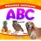 ABC. Primele notiuni