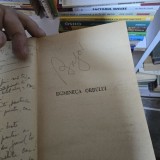 Dumineca orbului Cezar Petrescu carte beletristica romana editura Alcalay 384 pagini