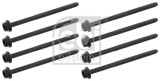 FEBI BILSTEIN 26434 Set surub, chiulasa