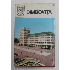 JUDETELE PATRIEI , MONOGRAFIE , DIMBOVITA , 1980