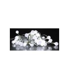 Ghirlanda luminoasa cu sfere albe 30 LED lumina rece WELL