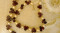Foto  - 3