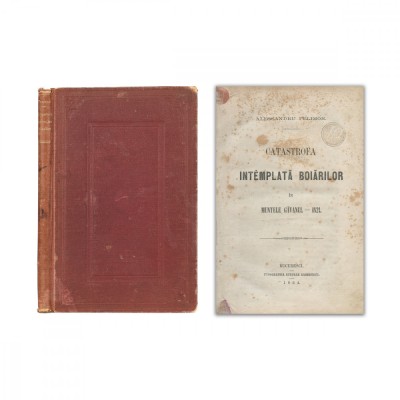 Alessandru Pelimon, Catastrofa &amp;icirc;nt&amp;acirc;mplată boierilor, 1864 foto