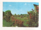 RF192 - Carte Postala - Bucuresti. Parcul Herastrau, Aleea Trandafirilor, circulata 1975