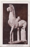 Bnk cp Grecia - carte postala circulata catre Galati 1933, Printata