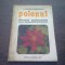 POLENUL - MIRCEA IALOMITEANU