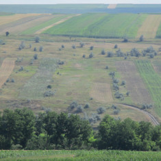 Vand 1800 m2 teren extravilan Unteni, Botosani