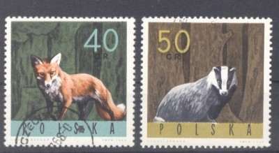 Poland 1965 Wild animals, used G.268 foto